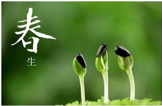 如何結(jié)合御髮膳養(yǎng)生更佳？